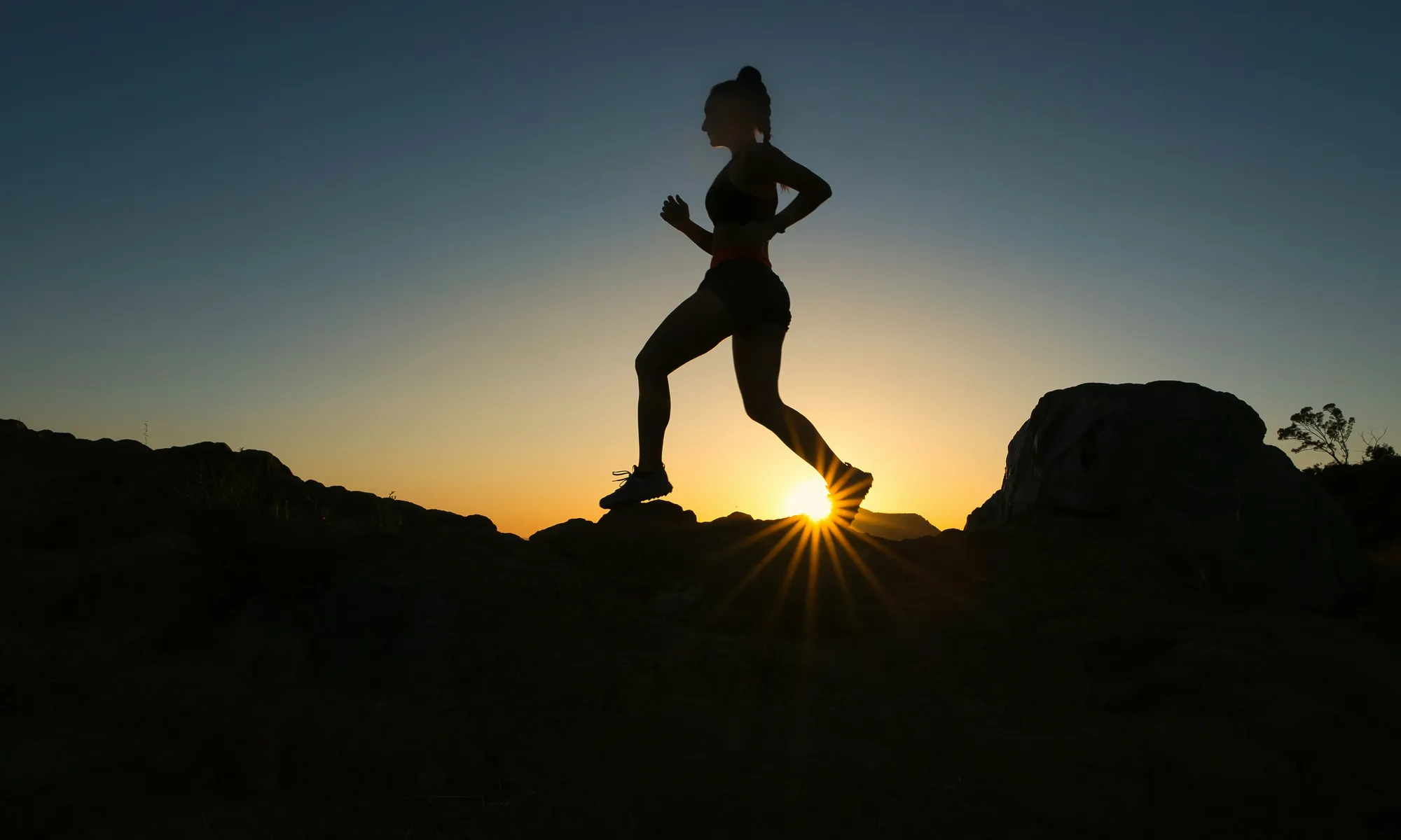 Helix Wellness Rx — physician-guided care